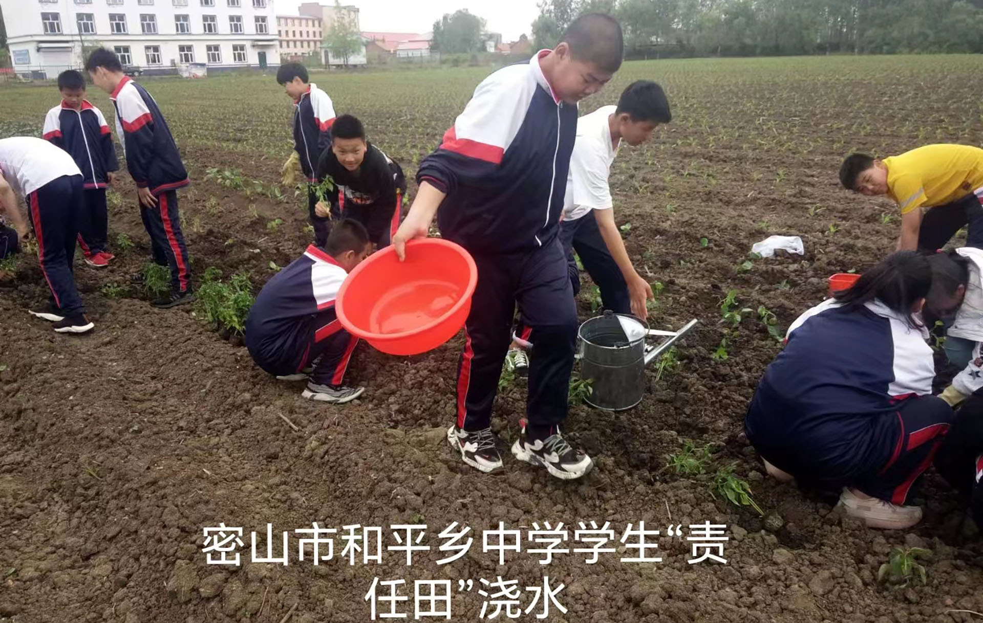 密山市和平乡学生“责任田”浇水.jpg